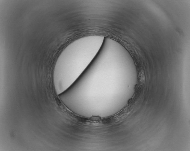X0000110880559200906180947