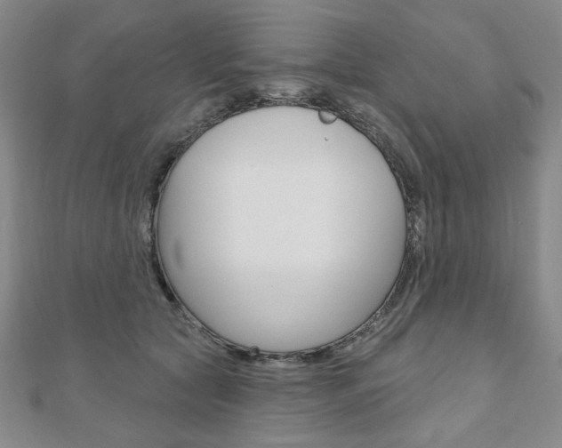 X0000110880561200906180947