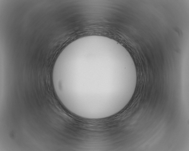 X0000110880562200906180947