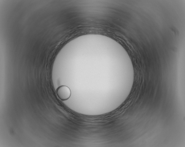 X0000110880564200906180947