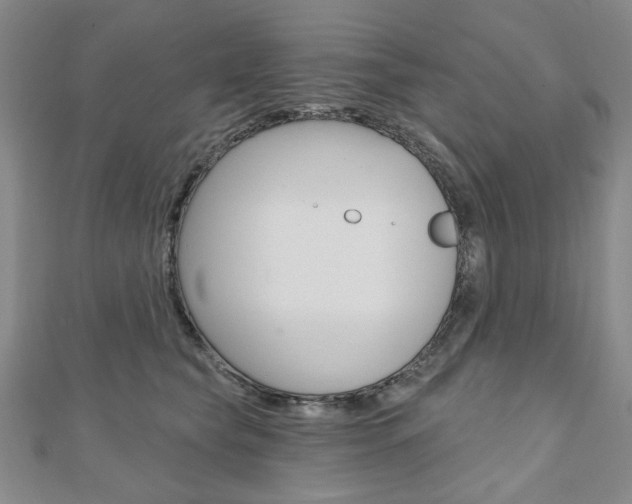 X0000110880565200906180947