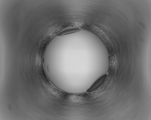 X0000110880568200906180947