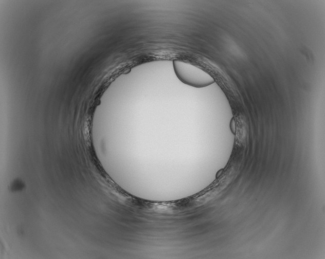 X0000110880573200906180947