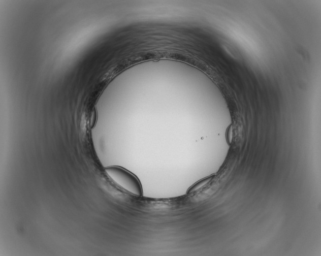 X0000110880574200906180947