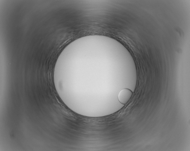 X0000110880576200906180947