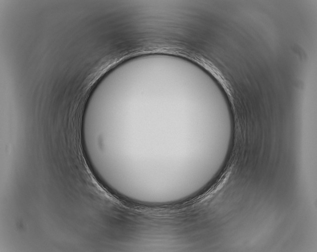 X0000110880577200906180947