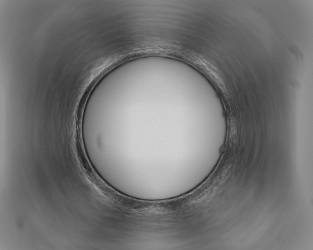 X0000110880578200906180947