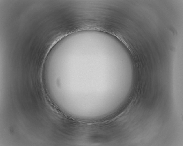 X0000110880579200906180947