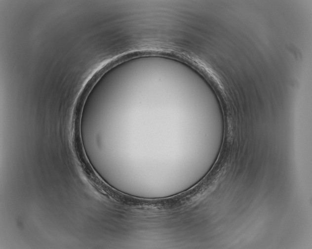 X0000110880580200906180947