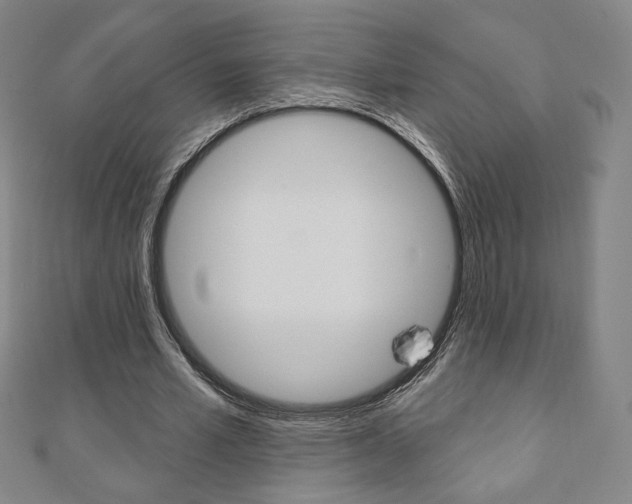 X0000110880581200906180947