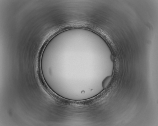 X0000110880582200906180947