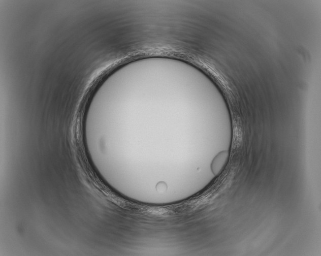 X0000110880583200906180947