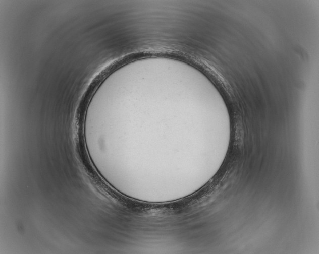 X0000110880584200906180947