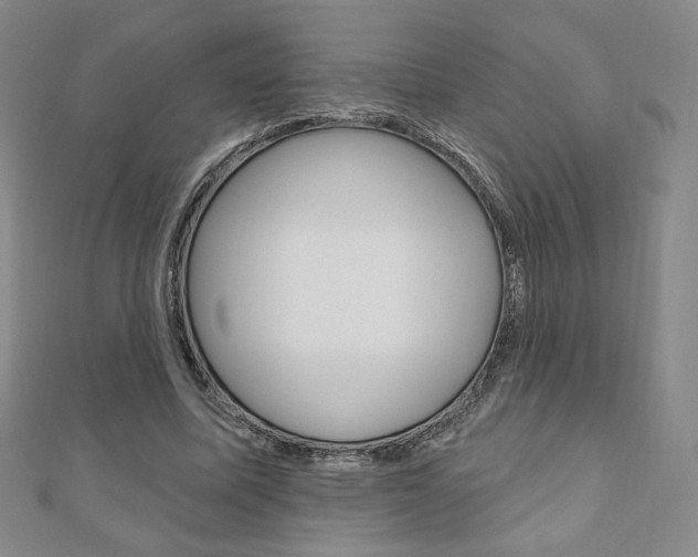 X0000110880587200906180947