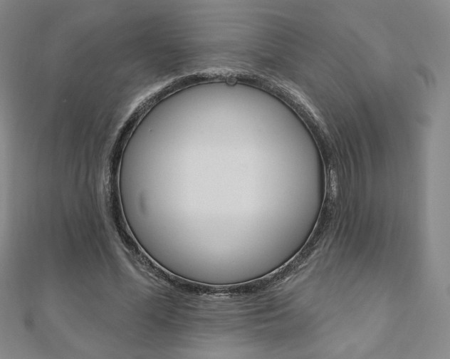 X0000110880588200906180947