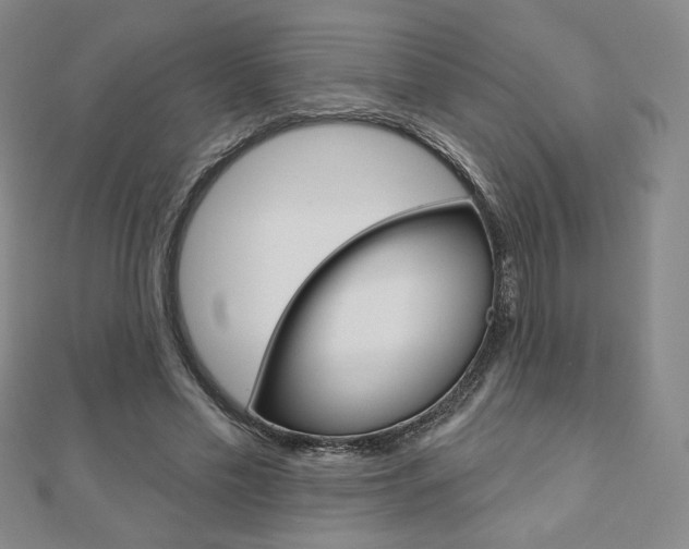 X0000110880589200906180947