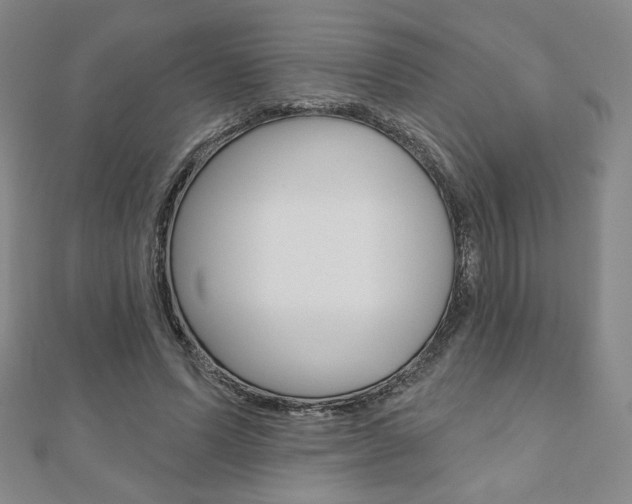 X0000110880591200906180947
