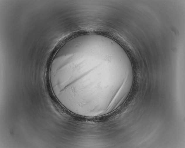 X0000110880592200906180947