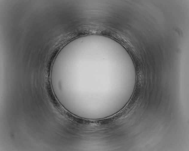 X0000110880594200906180947