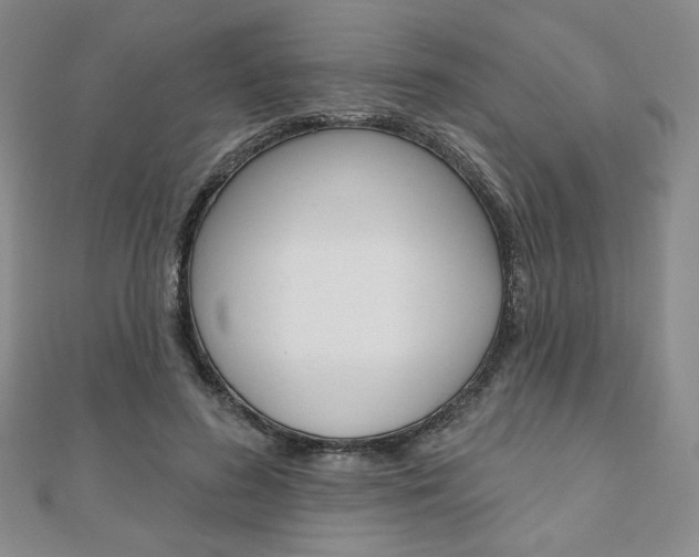 X0000110880596200906180947