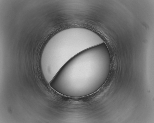 X0000110880597200906180947