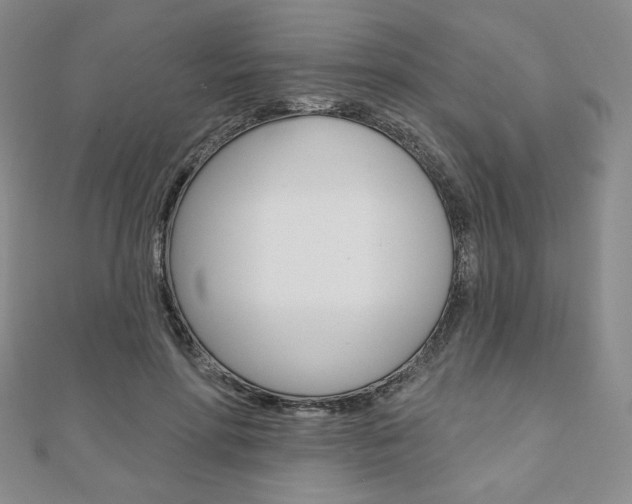 X0000110880598200906180947
