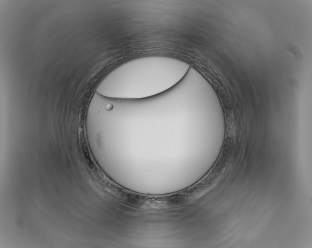 X0000110880599200906180947
