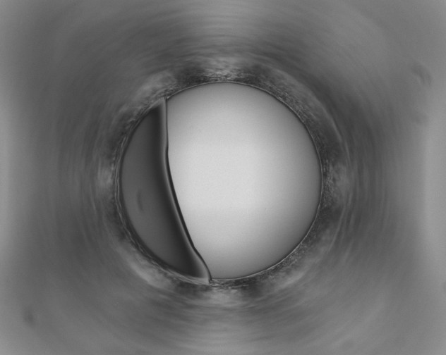 X0000110880601200906180947