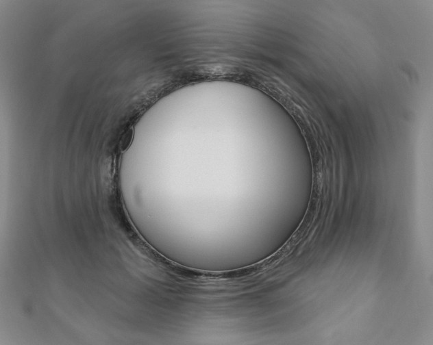 X0000110880605200906180947