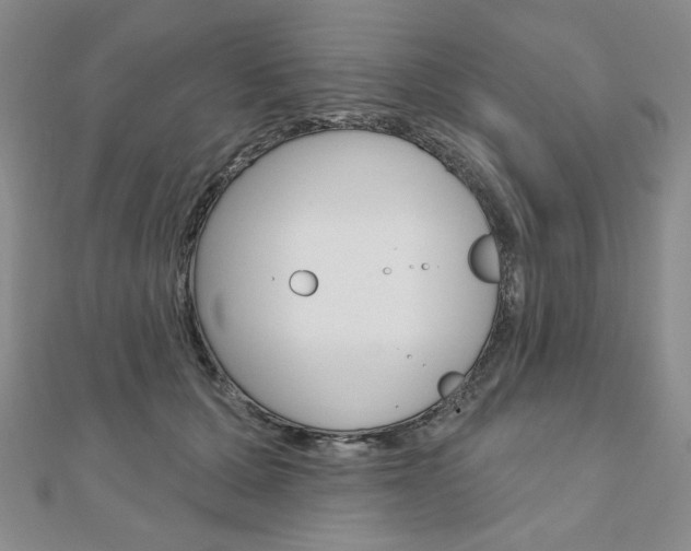 X0000110880607200906180946