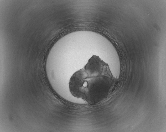 X0000110880609200906180946