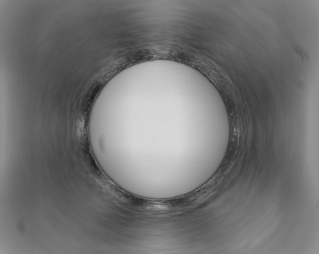 X0000110880610200906180946