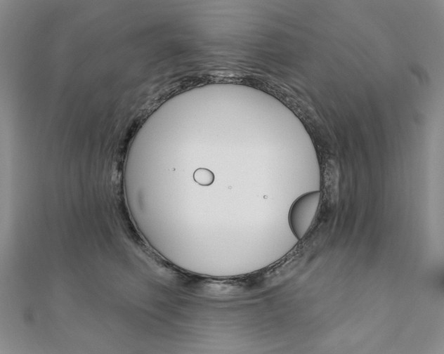 X0000110880614200906180946