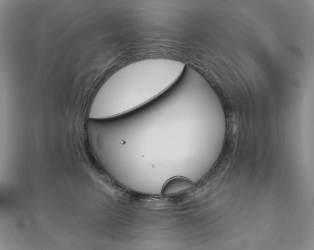 X0000110880615200906180946