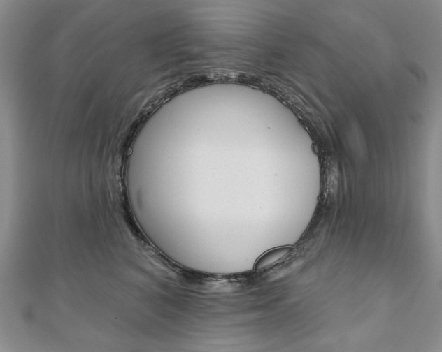 X0000110880616200906180946