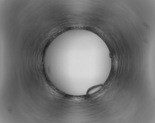 X0000110880619200906180946