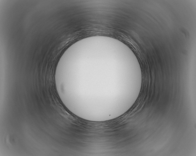 X0000110880621200906180946