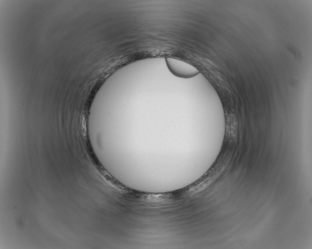 X0000110880622200906180946