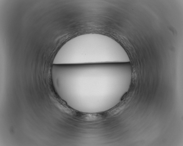 X0000110880623200906180946