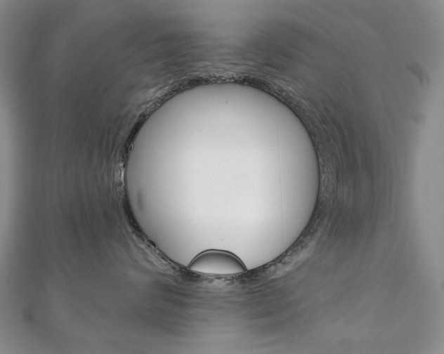 X0000110880624200906180946