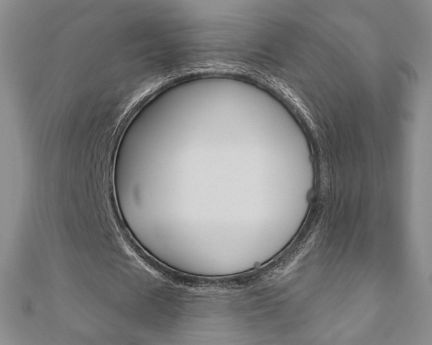 X0000110880625200906180946