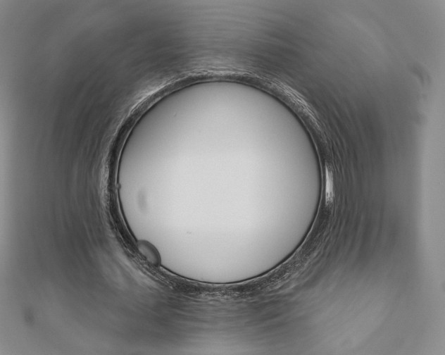 X0000110880627200906180946