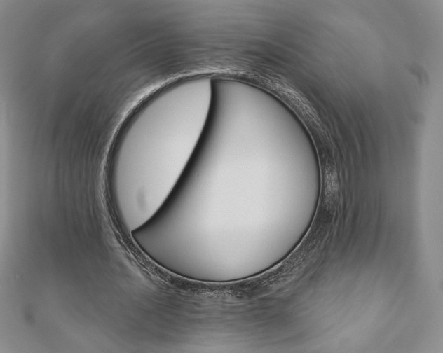 X0000110880628200906180946