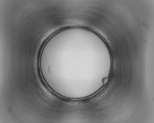X0000110880629200906180946