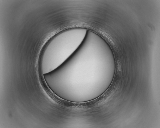 X0000110880630200906180946