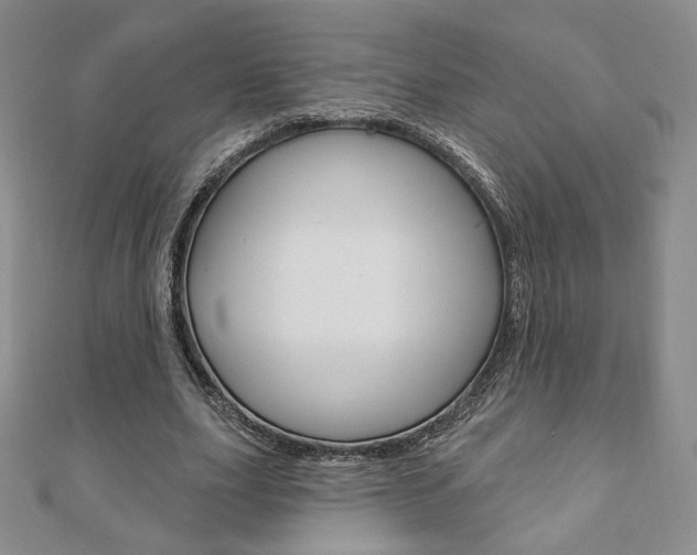 X0000110880631200906180946