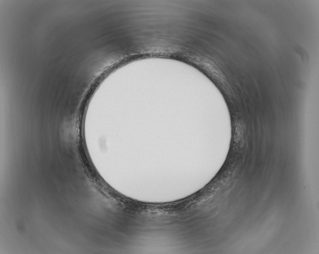 X0000110880632200906180946