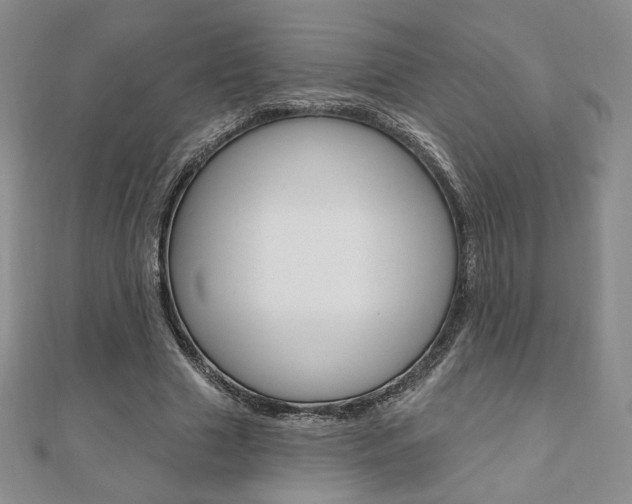 X0000110880633200906180946