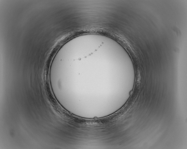 X0000110880636200906180946