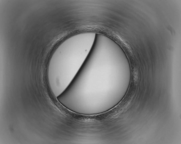 X0000110880637200906180946